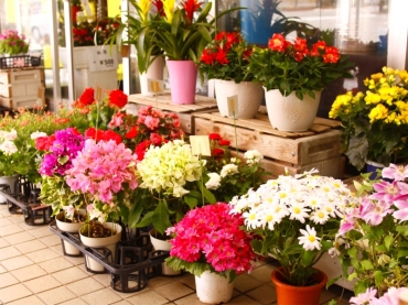 「小竹生花園」　（石川県白山市）の花屋店舗写真2